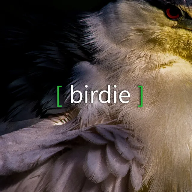 Birdie Game